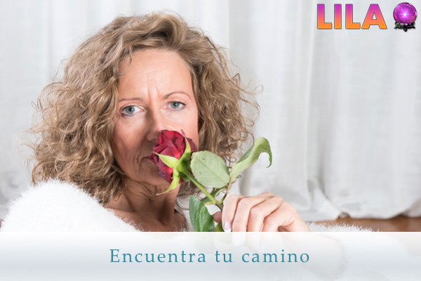 lila-4